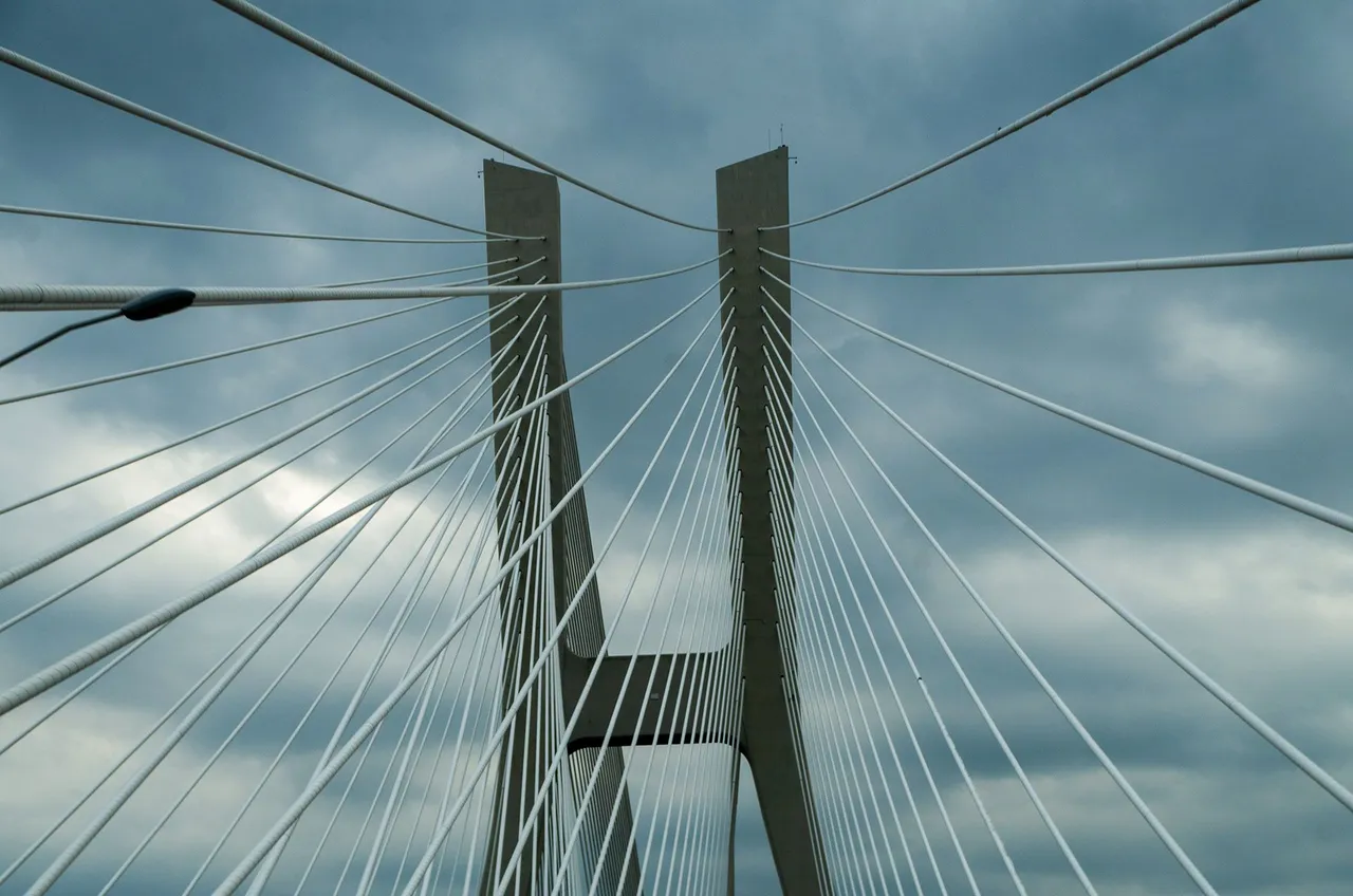IMGP5719c.jpg