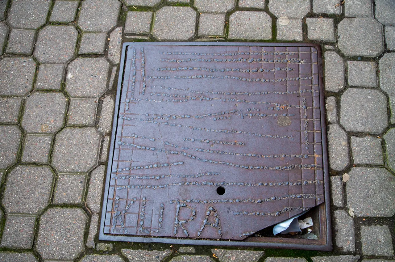 IMGP7365c.jpg
