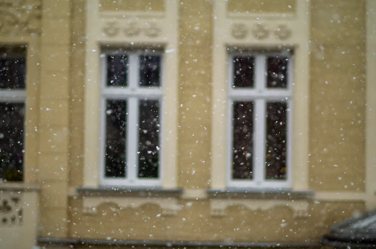 IMGP7031c.jpg
