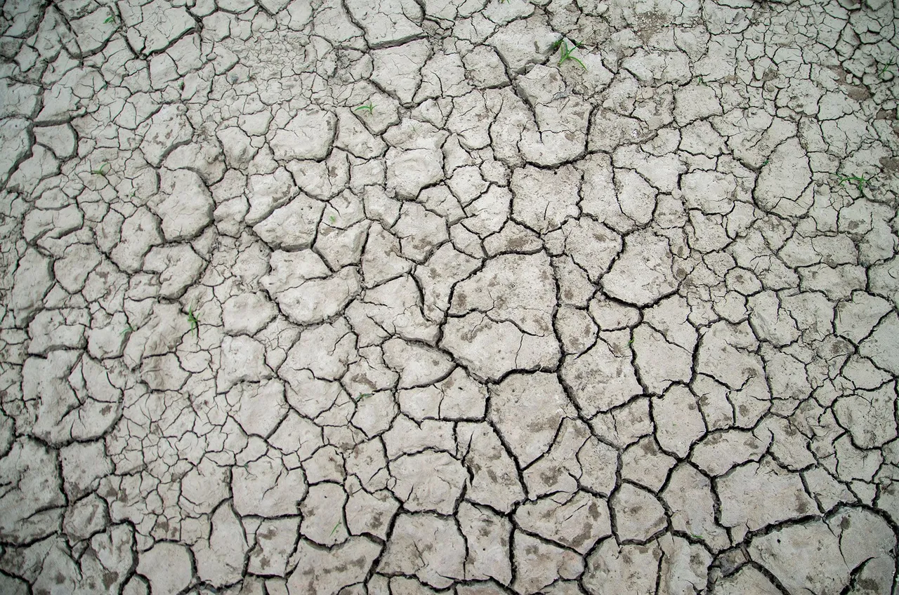 IMGP8738c.jpg