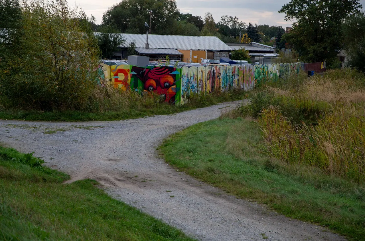 IMGP7829c.jpg