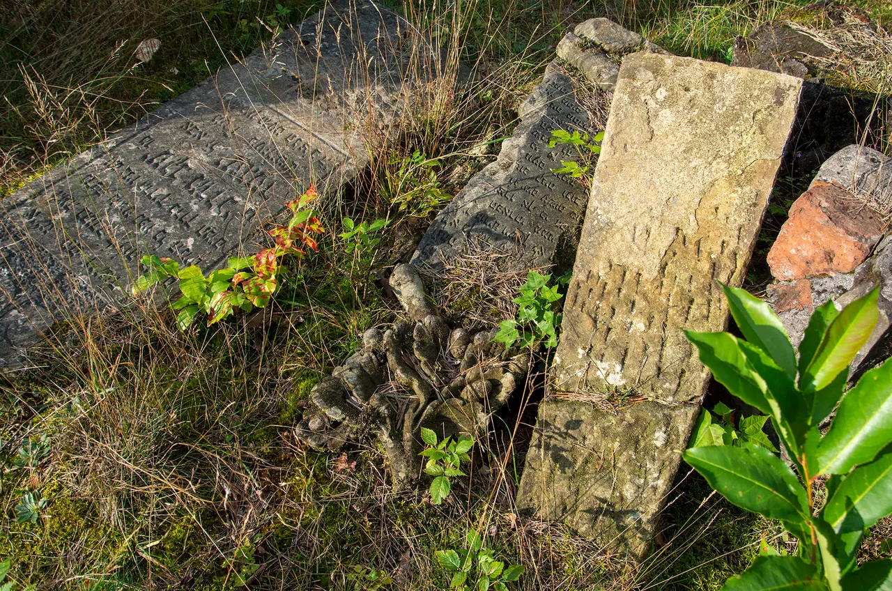 IMGP9209c.jpg