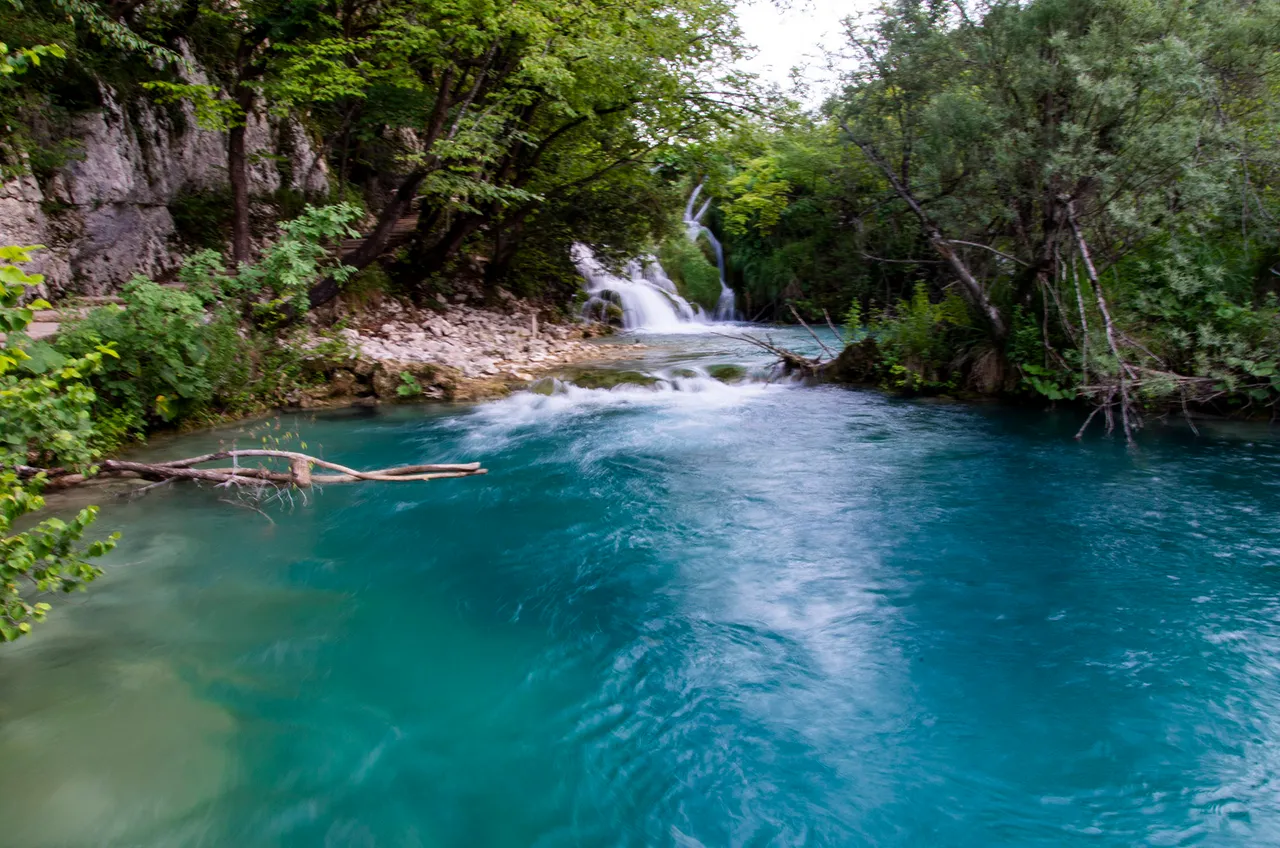 IMGP3358c.jpg
