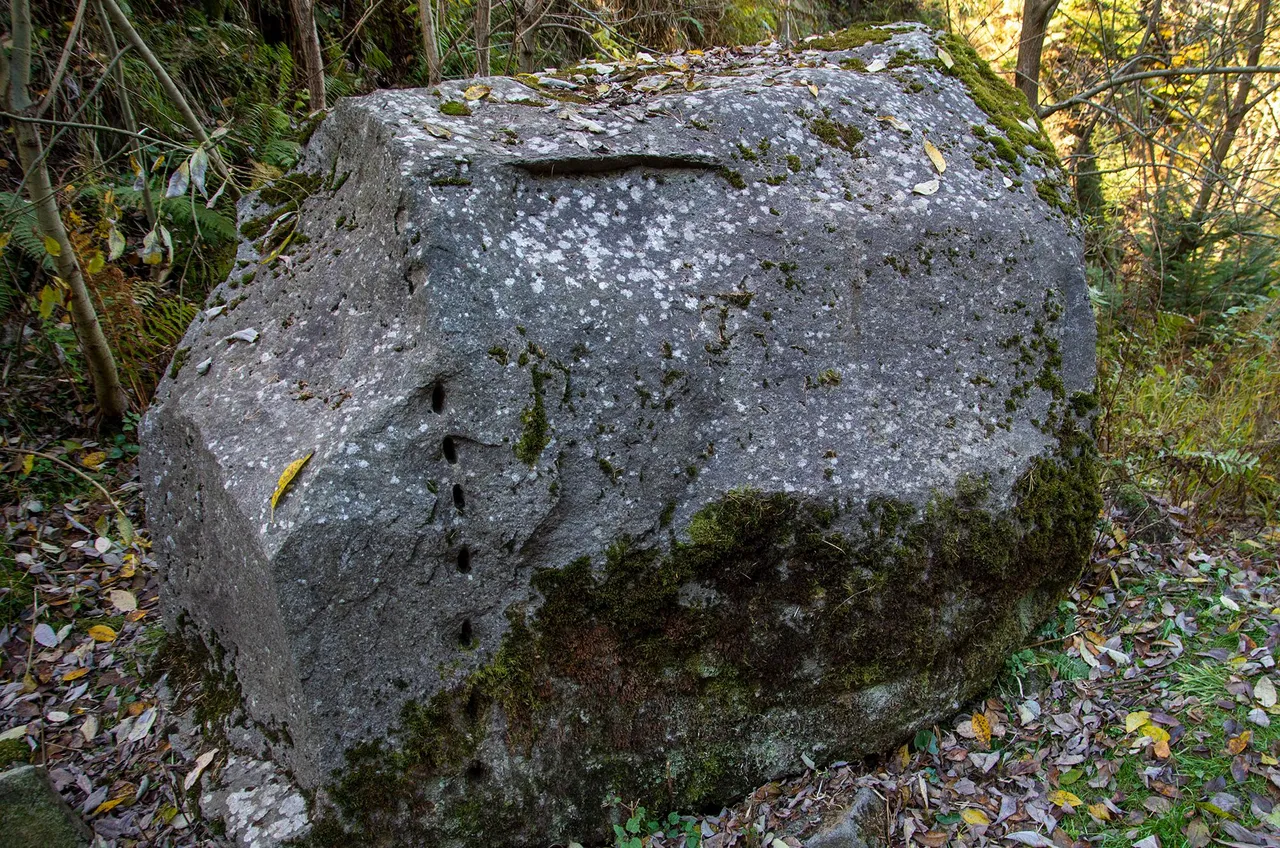 IMGP0182c.jpg