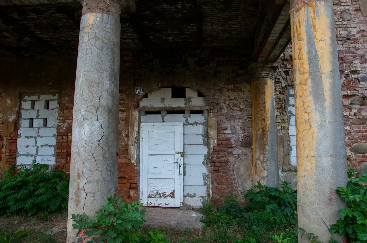 IMGP9047c.jpg