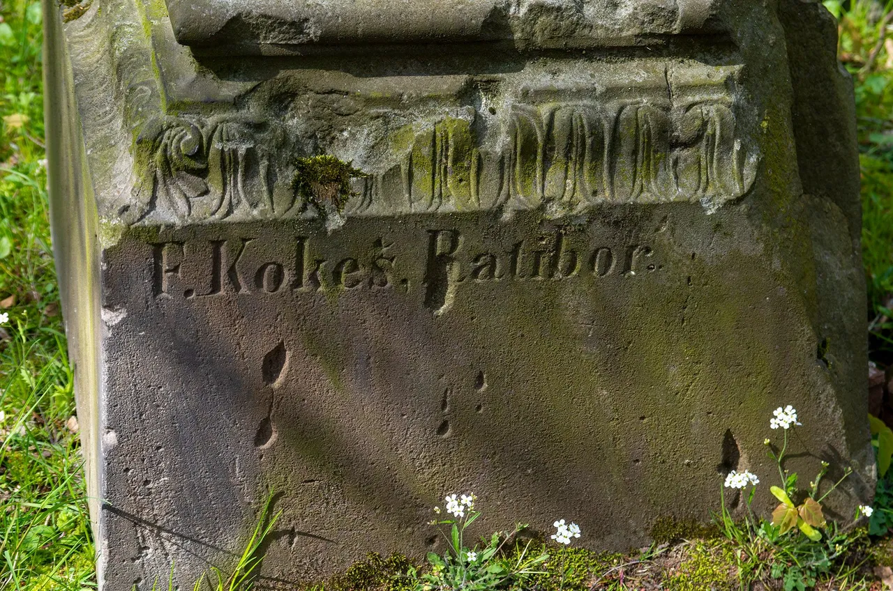 IMGP7753c.jpg