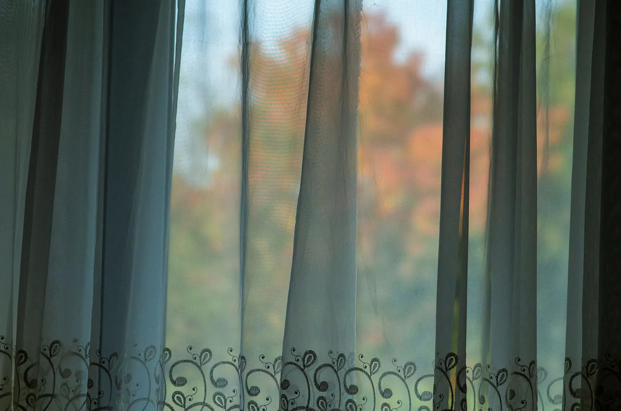 IMGP4206c.jpg