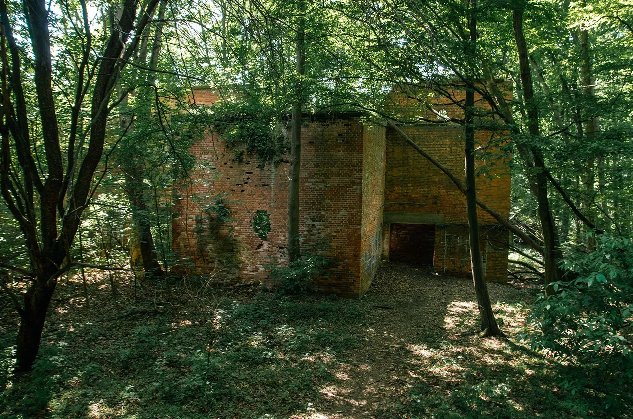 IMGP2394c.jpg