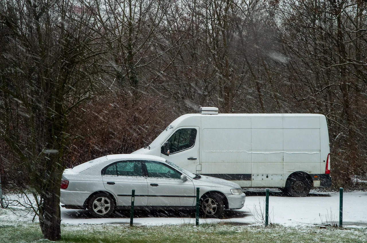 IMGP5128c.jpg