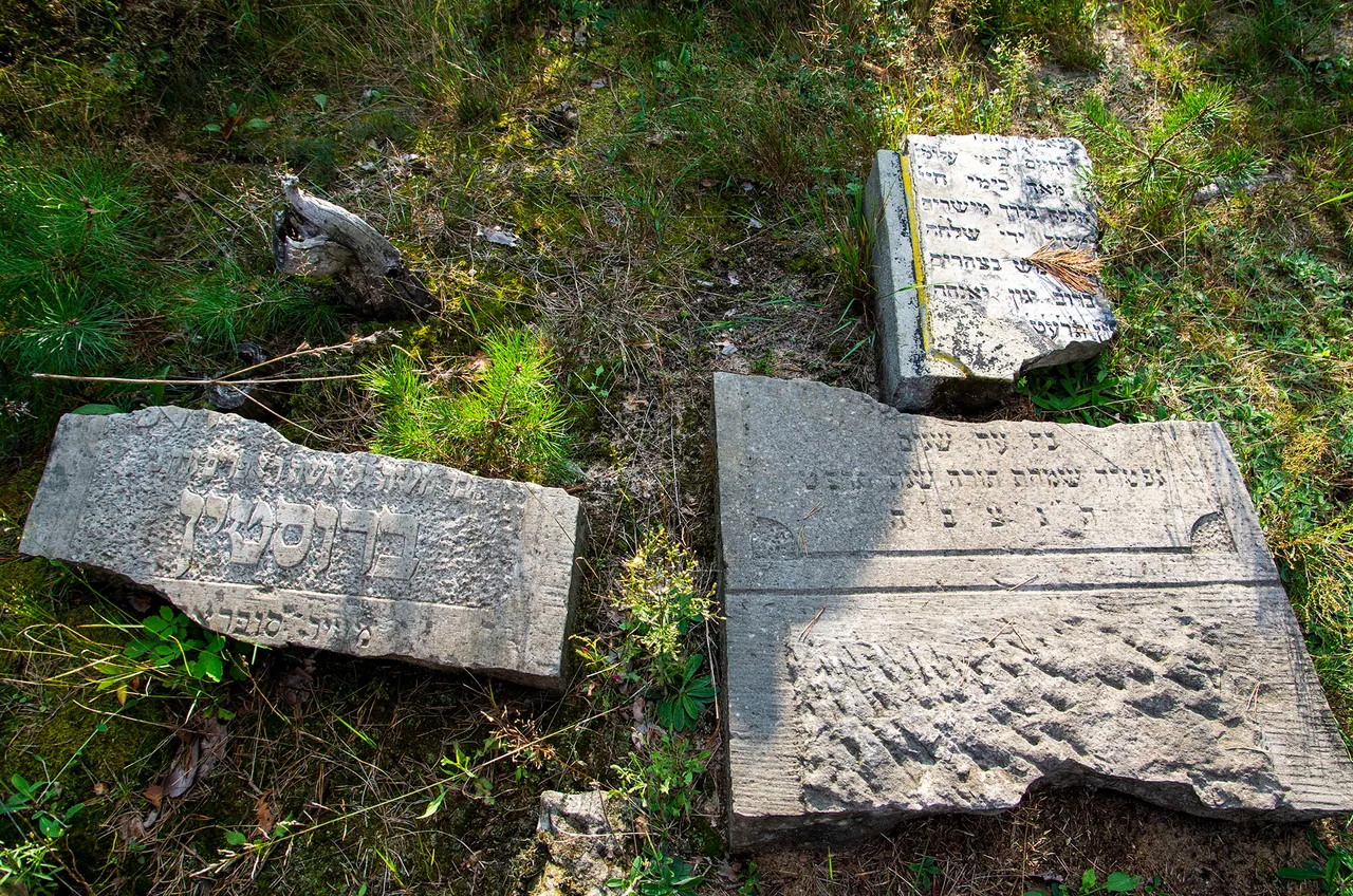 IMGP9206c.jpg