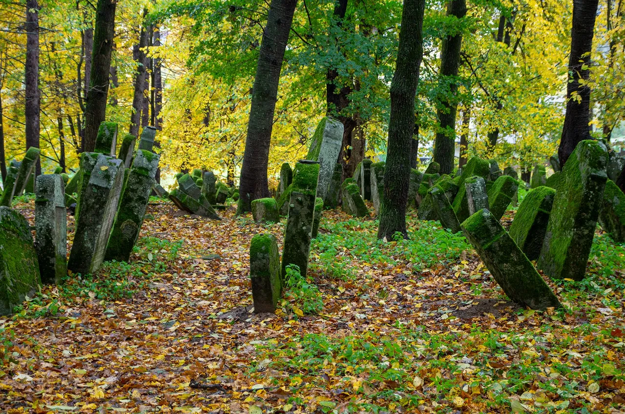IMGP8175c.jpg