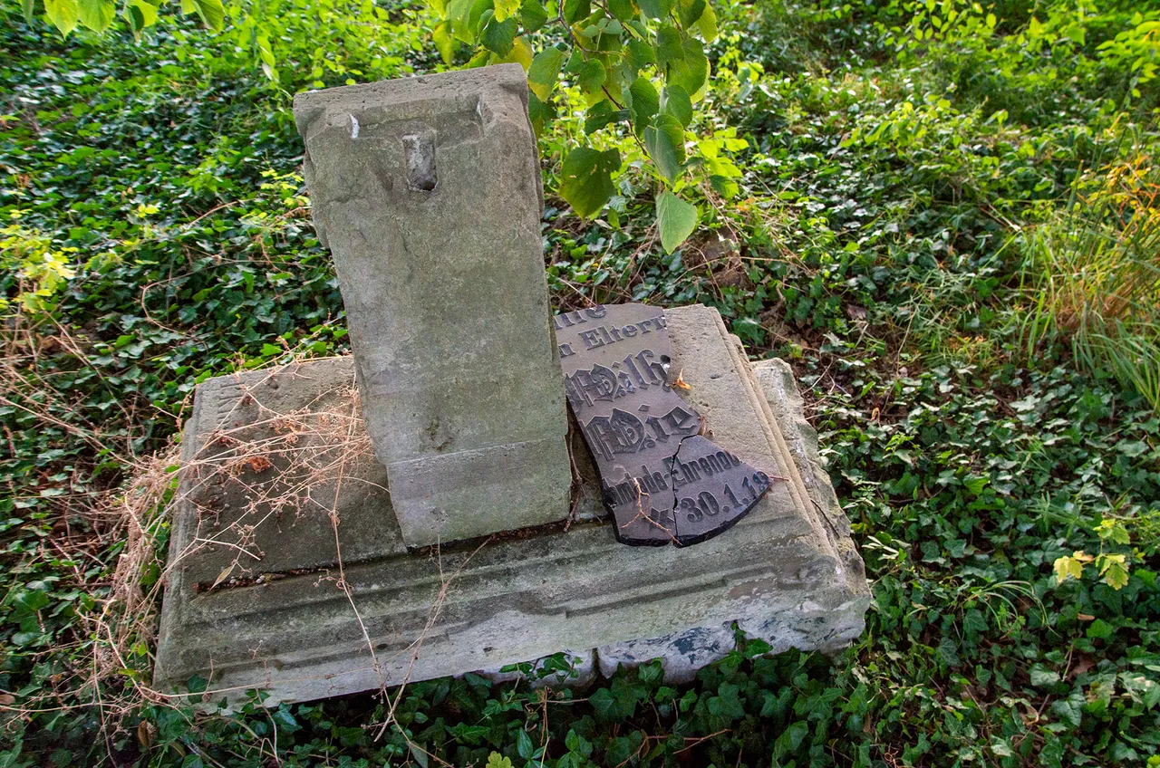 IMGP9051c.jpg