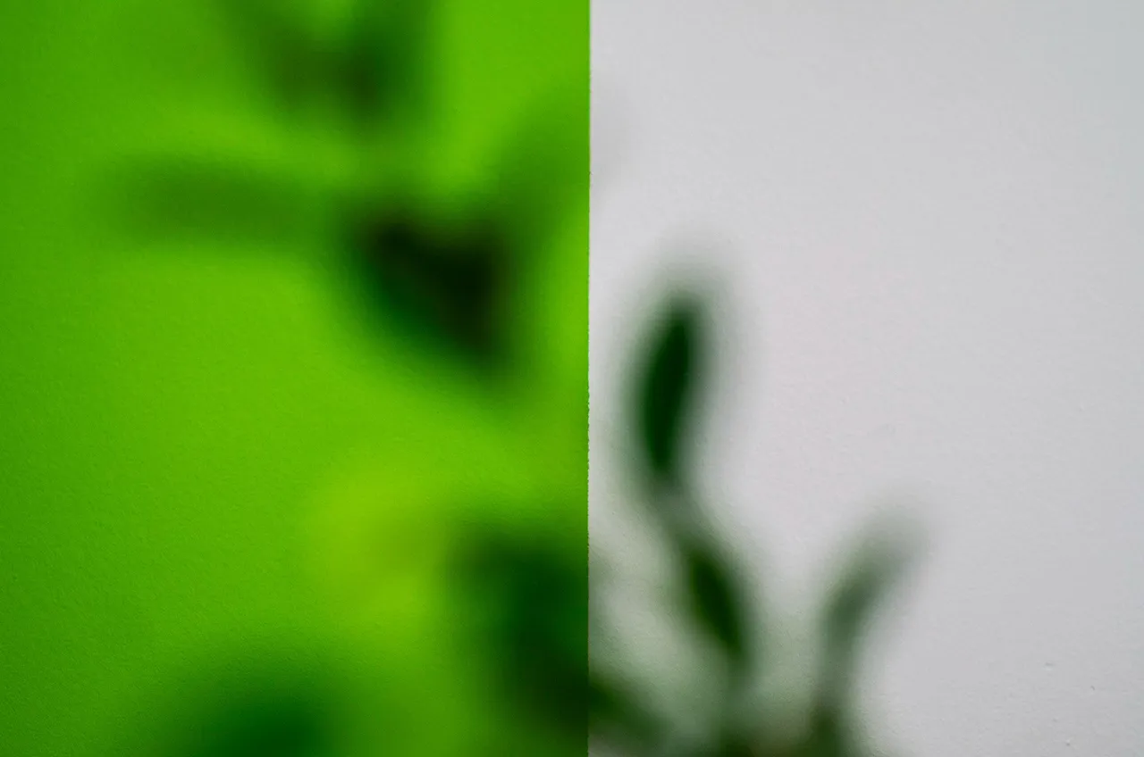 IMGP9971c.jpg