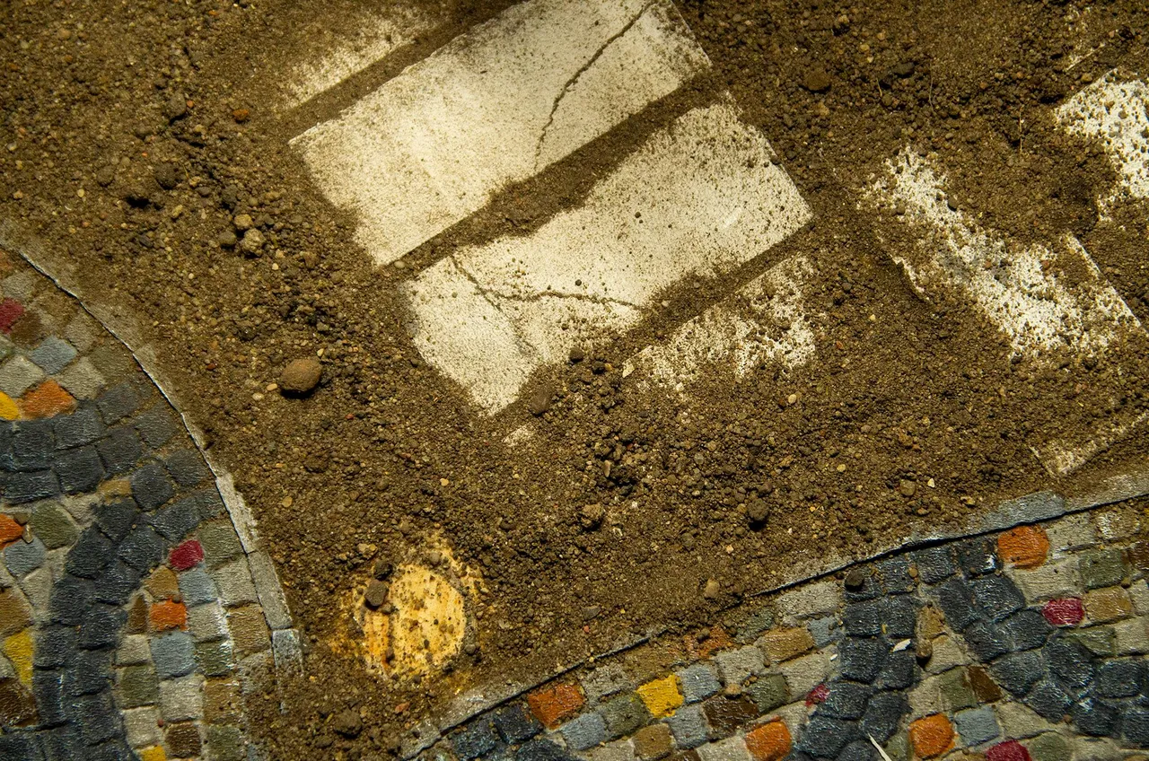 IMGP7219c.jpg