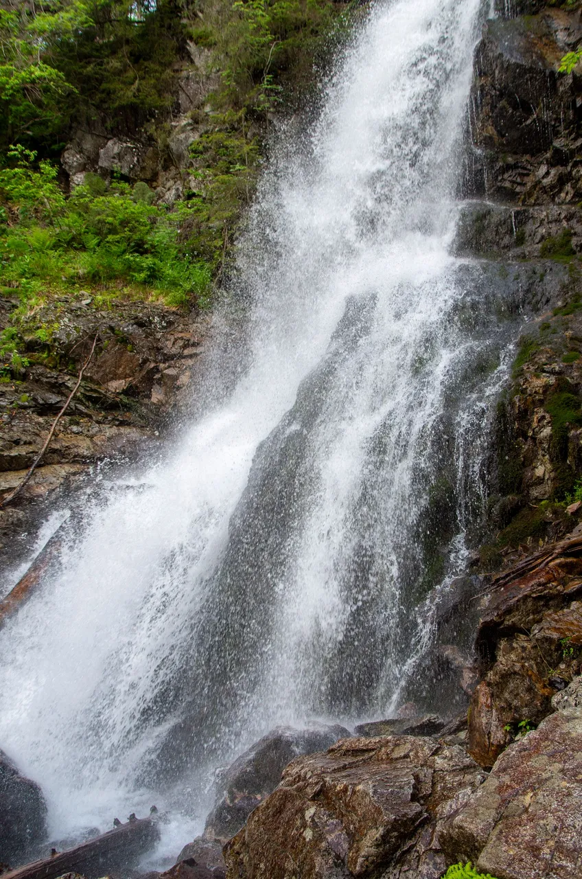 IMGP7087c.jpg