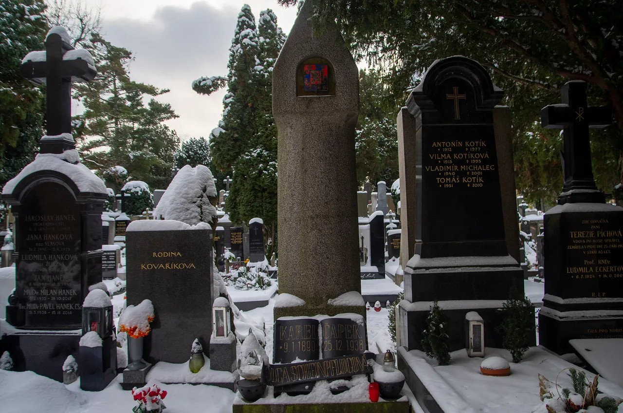 IMGP4811c.jpg