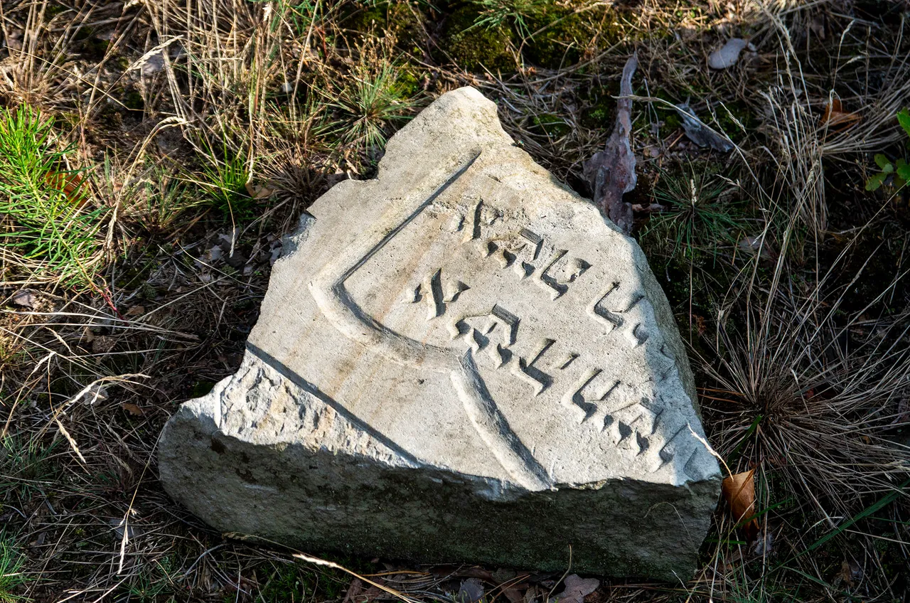 IMGP9201c.jpg