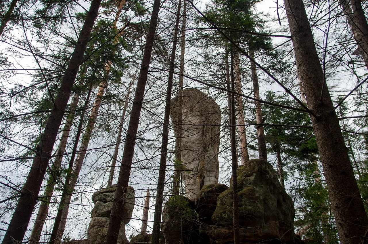 IMGP7369c.jpg
