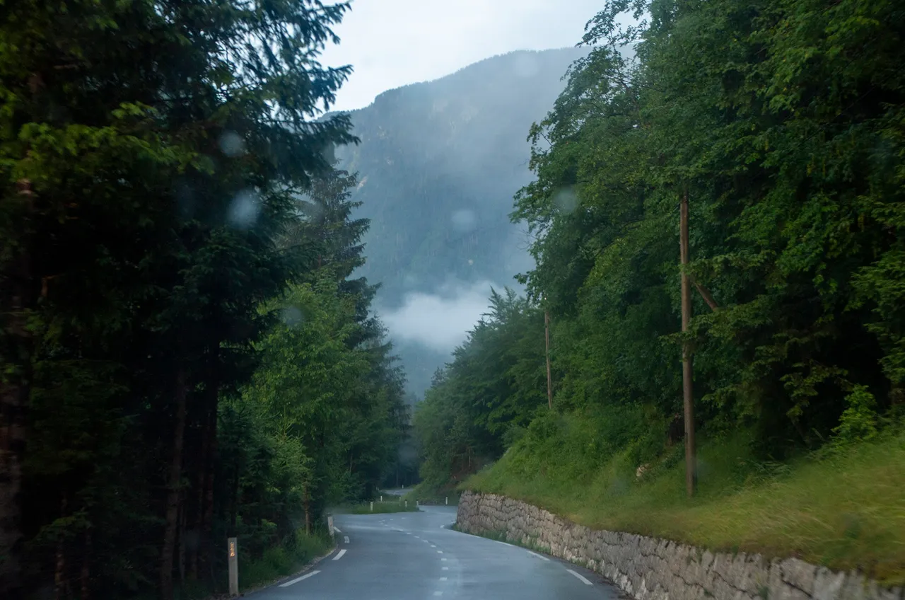 IMGP2866c.jpg