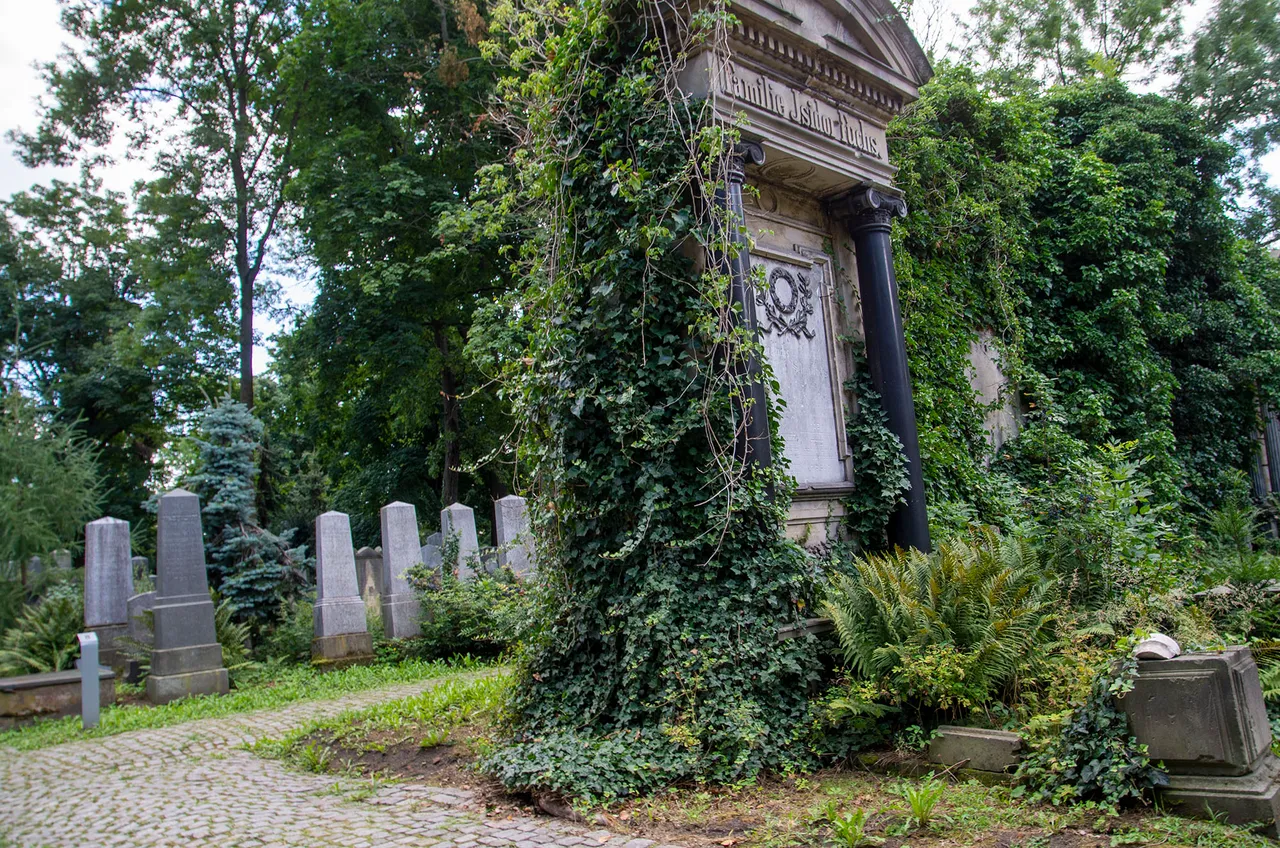 IMGP9063c.jpg