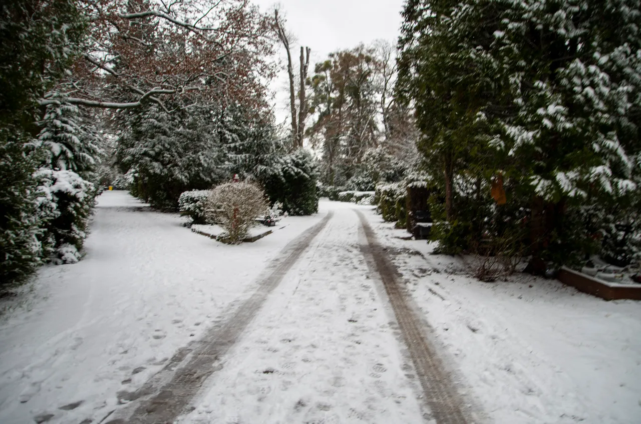 IMGP5093c.jpg