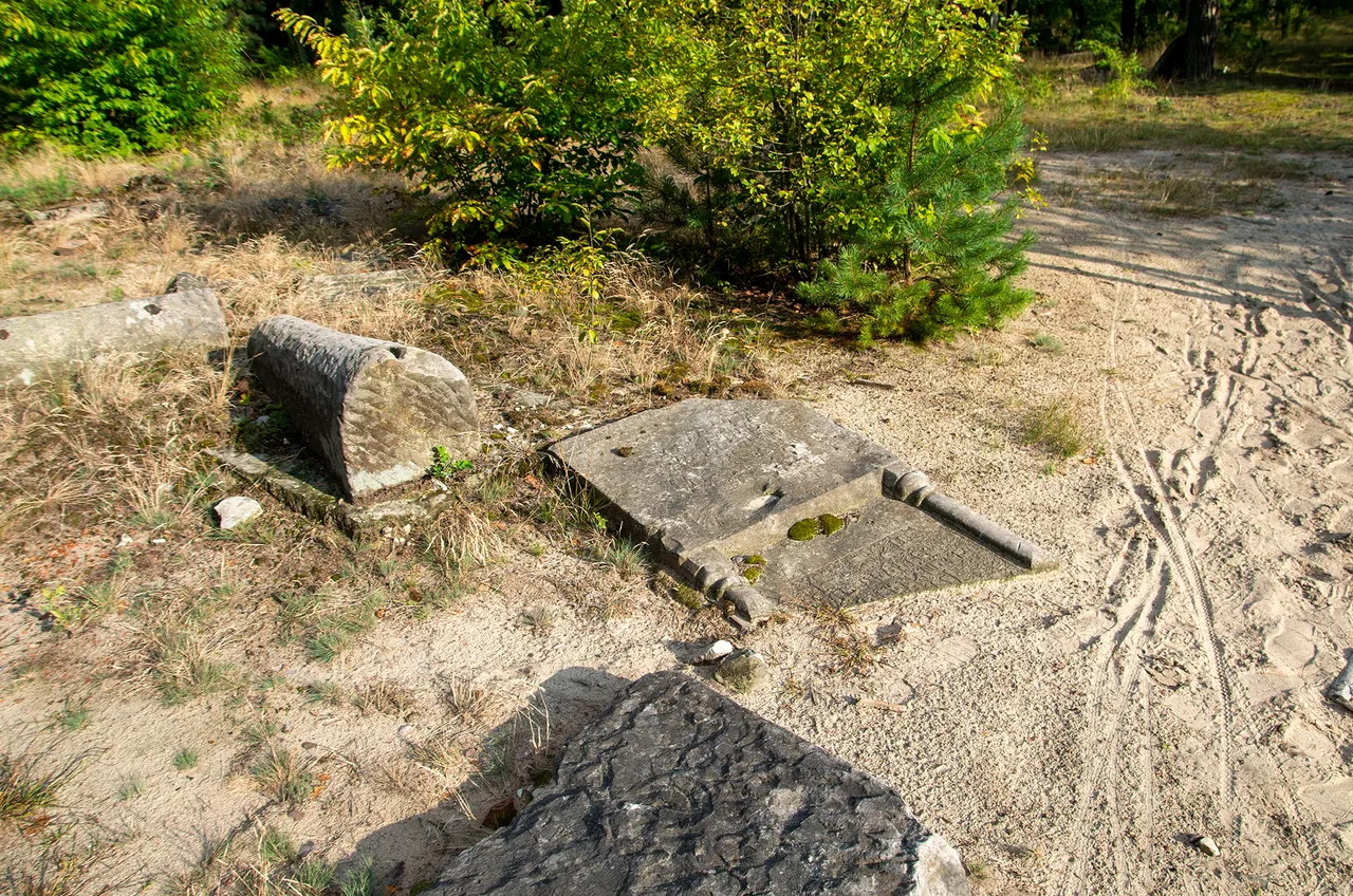 IMGP9202c.jpg