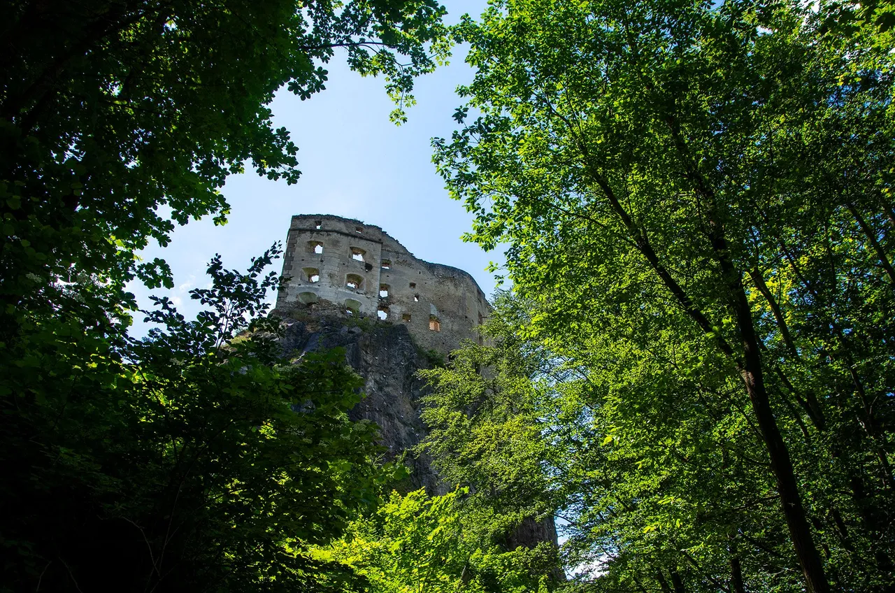 IMGP6891c.jpg