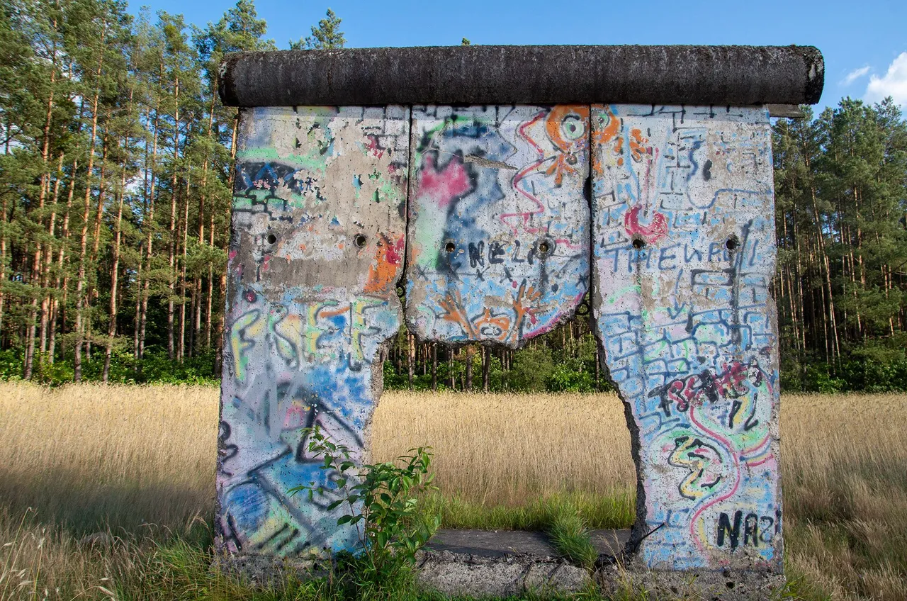 IMGP8882c.jpg