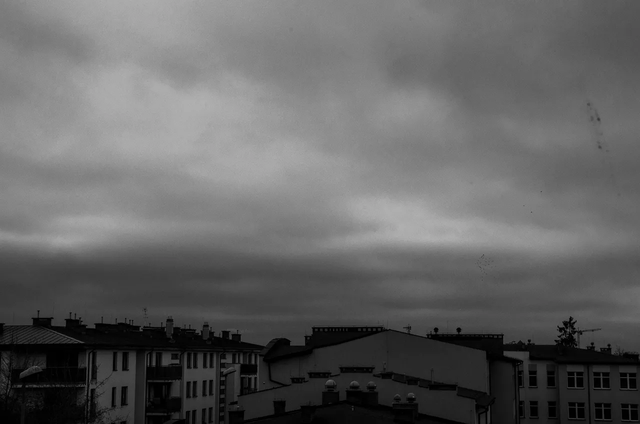 IMGP0345c.jpg