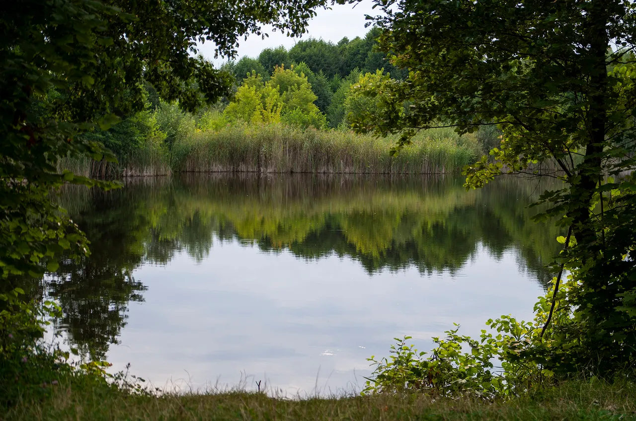 IMGP9153c.jpg