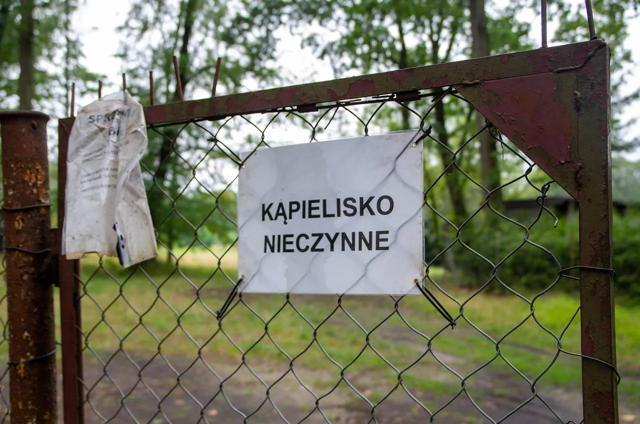 IMGP3693c.jpg