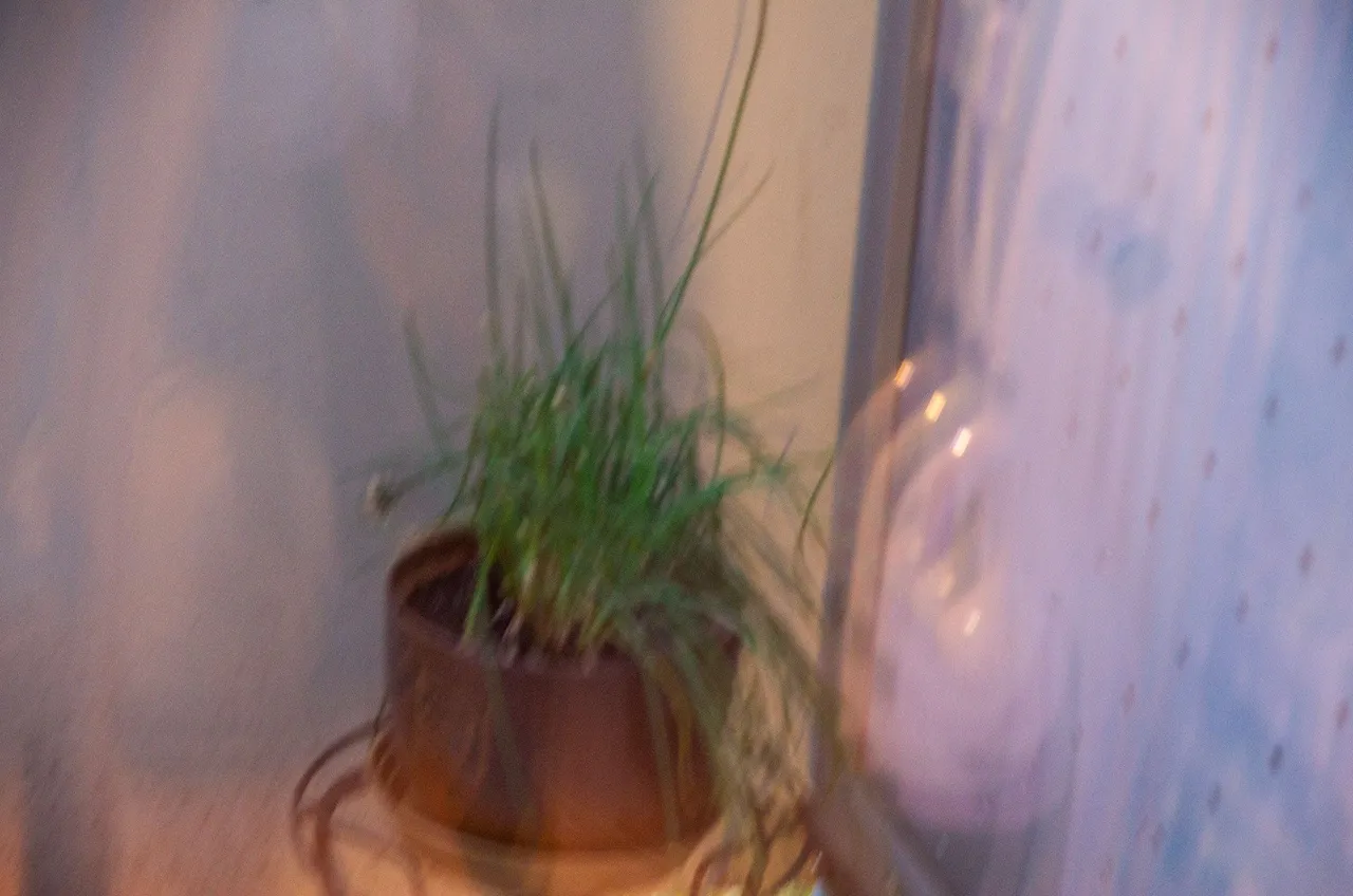 IMGP7182c.jpg