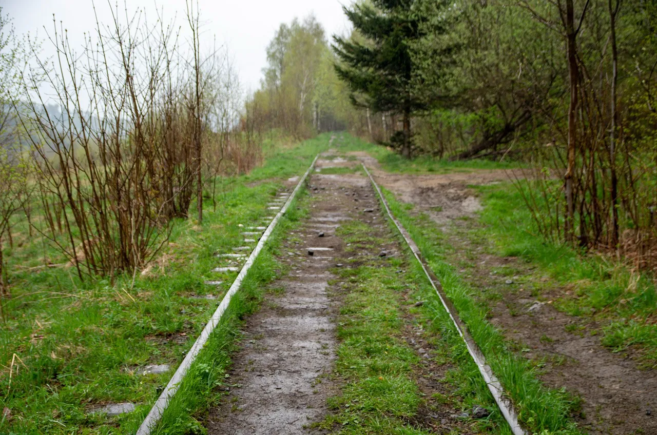 IMGP2043c.jpg