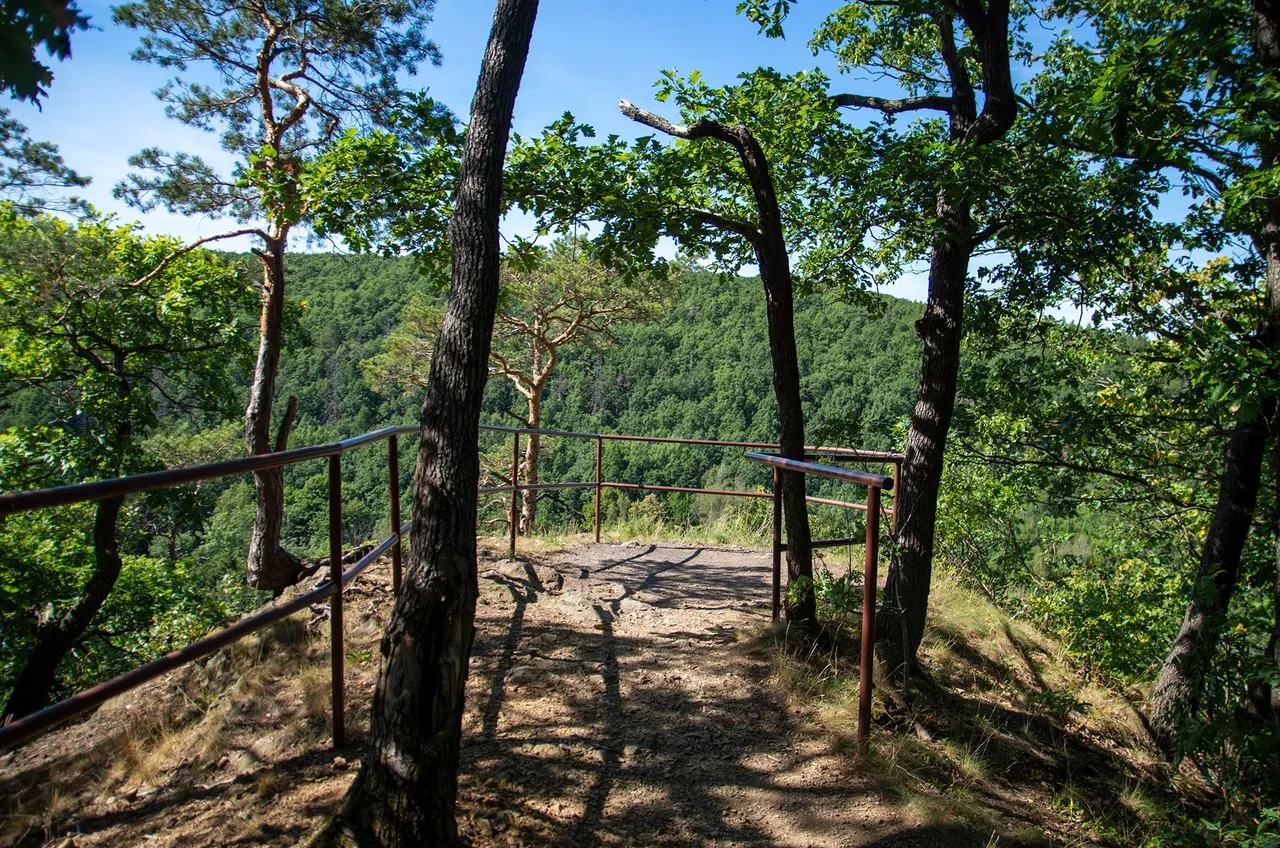 IMGP3595c.jpg