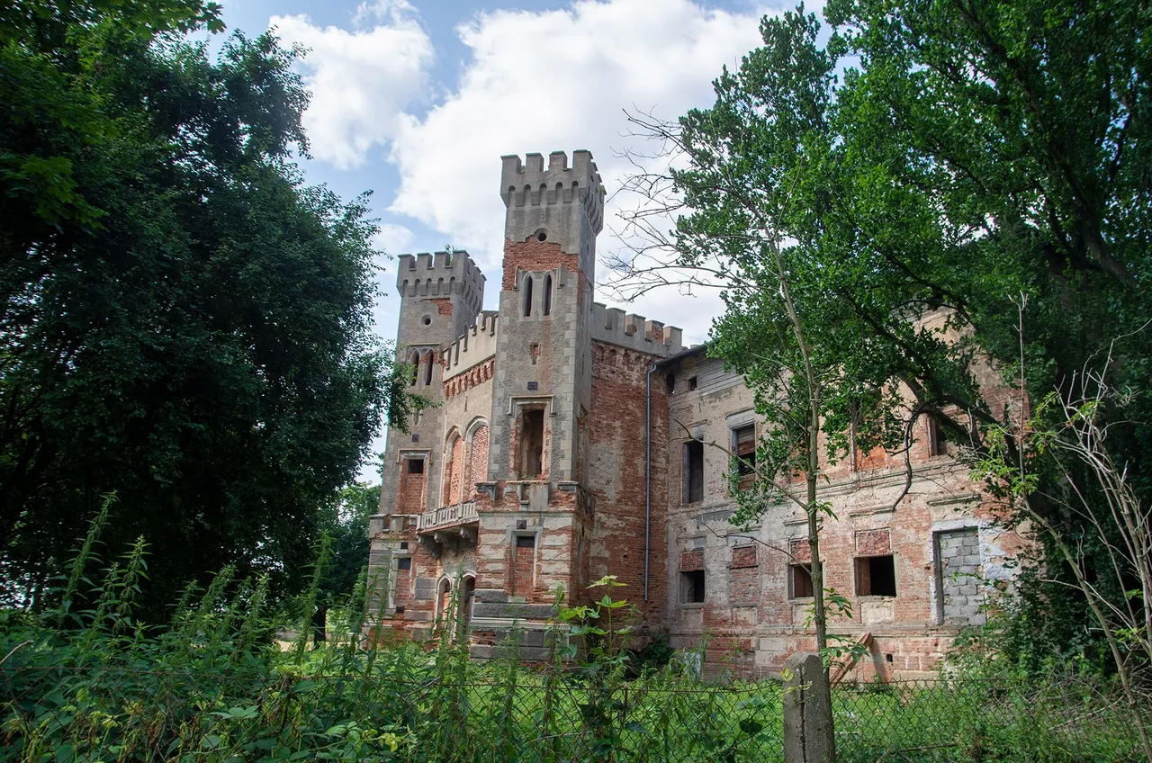 IMGP8849c.jpg