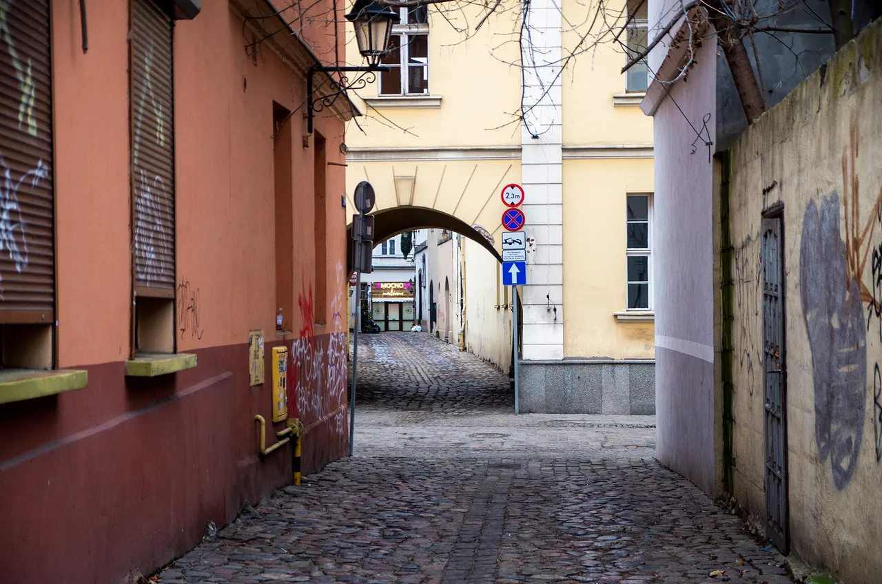 IMGP4616c.jpg
