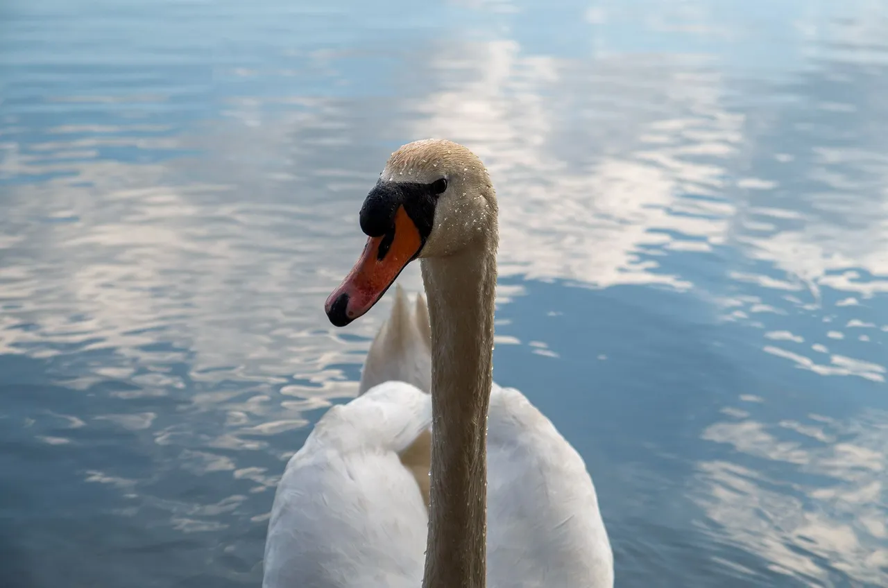 IMGP7760c.jpg