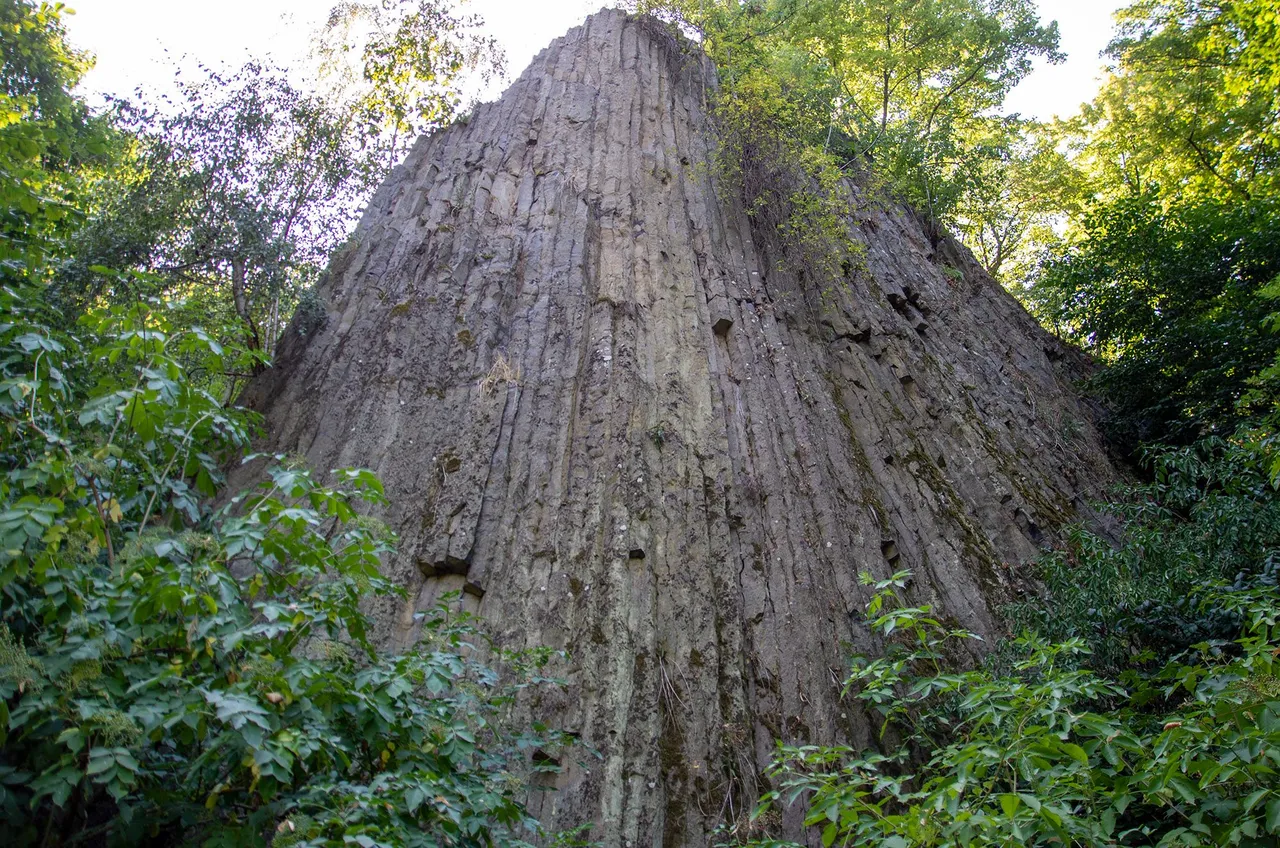IMGP3608c.jpg