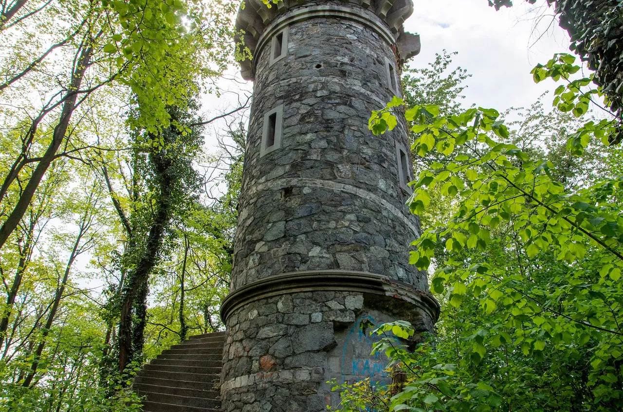 IMGP2180c.jpg