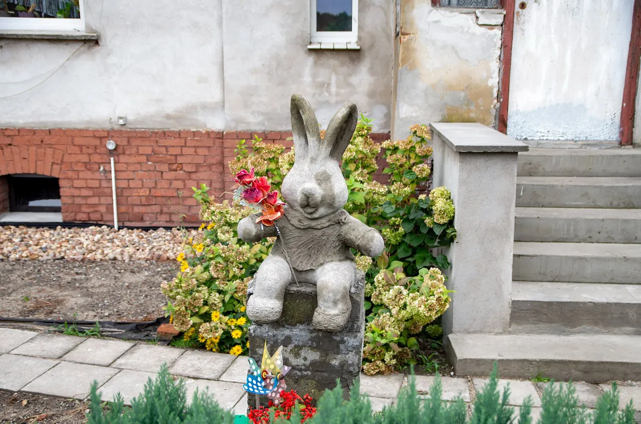 IMGP3697c.jpg