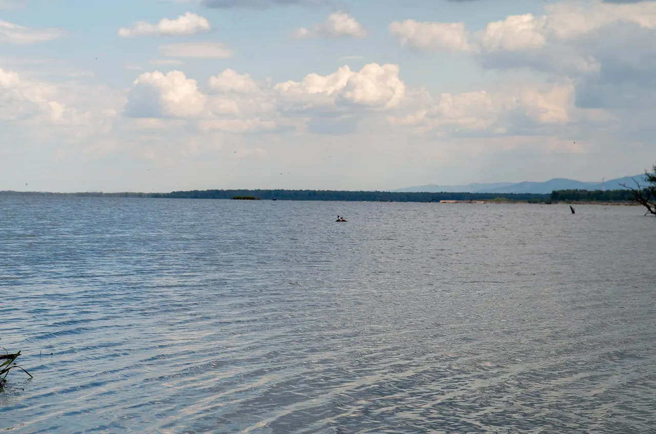 IMGP7736c.jpg