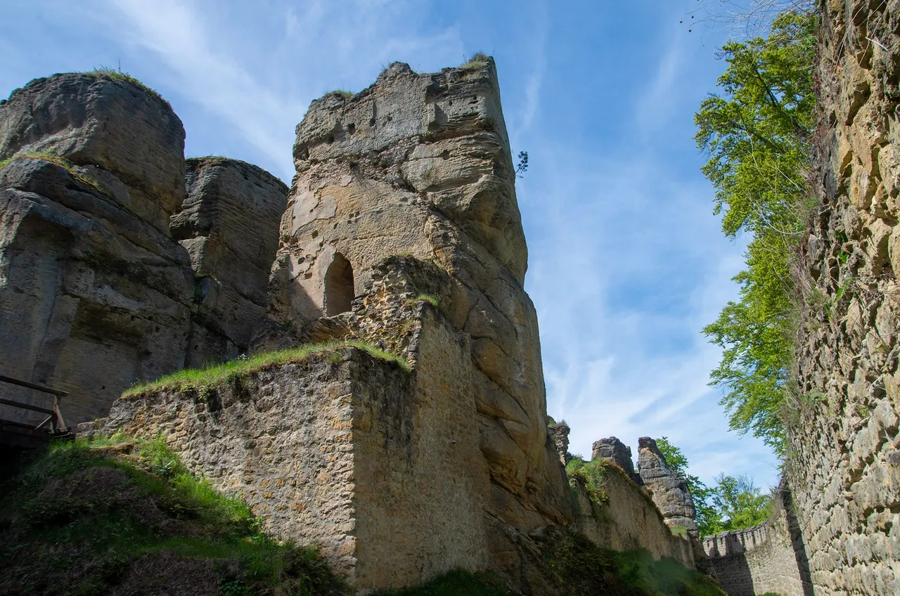 IMGP6244c.jpg