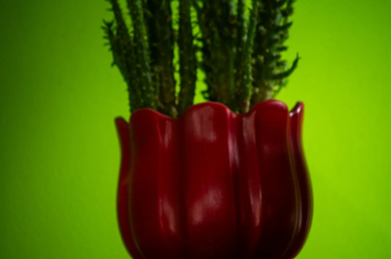 IMGP7683c.jpg