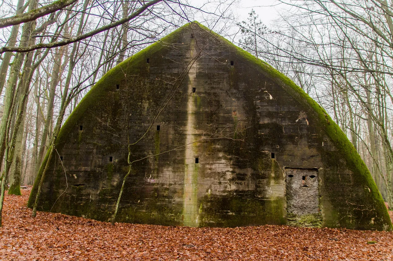 IMGP0511c.jpg