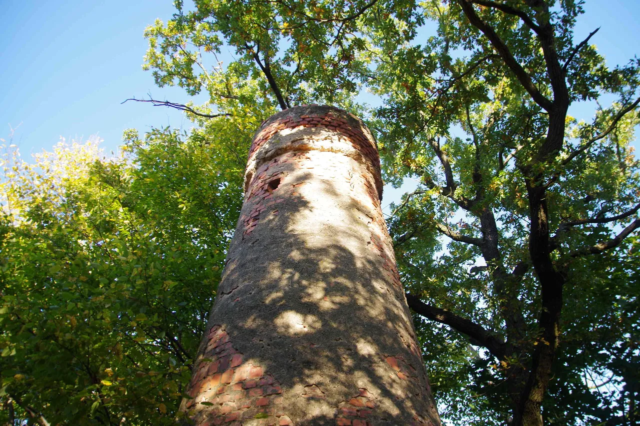 IMGP9609.JPG