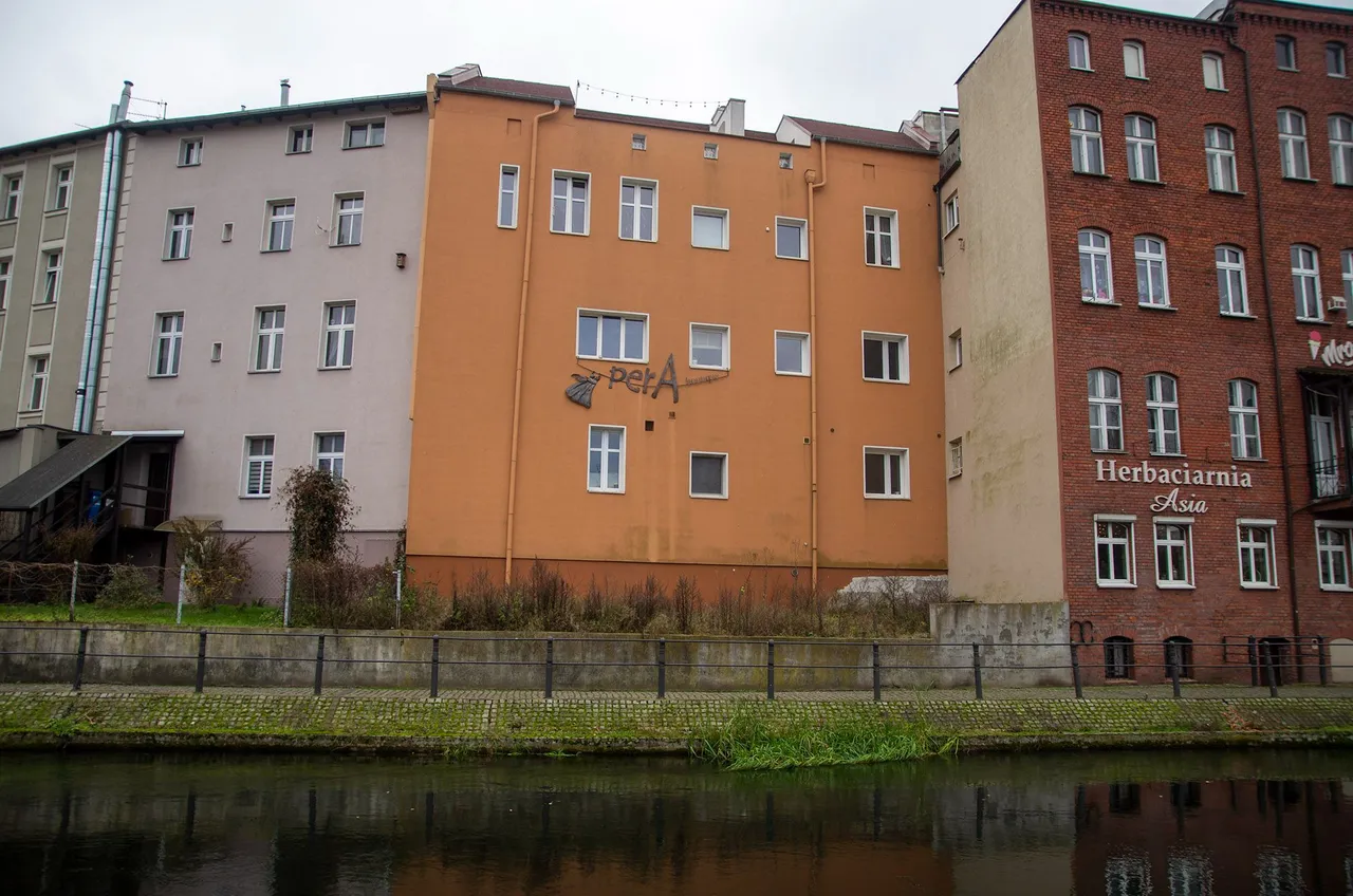 IMGP4618c.jpg