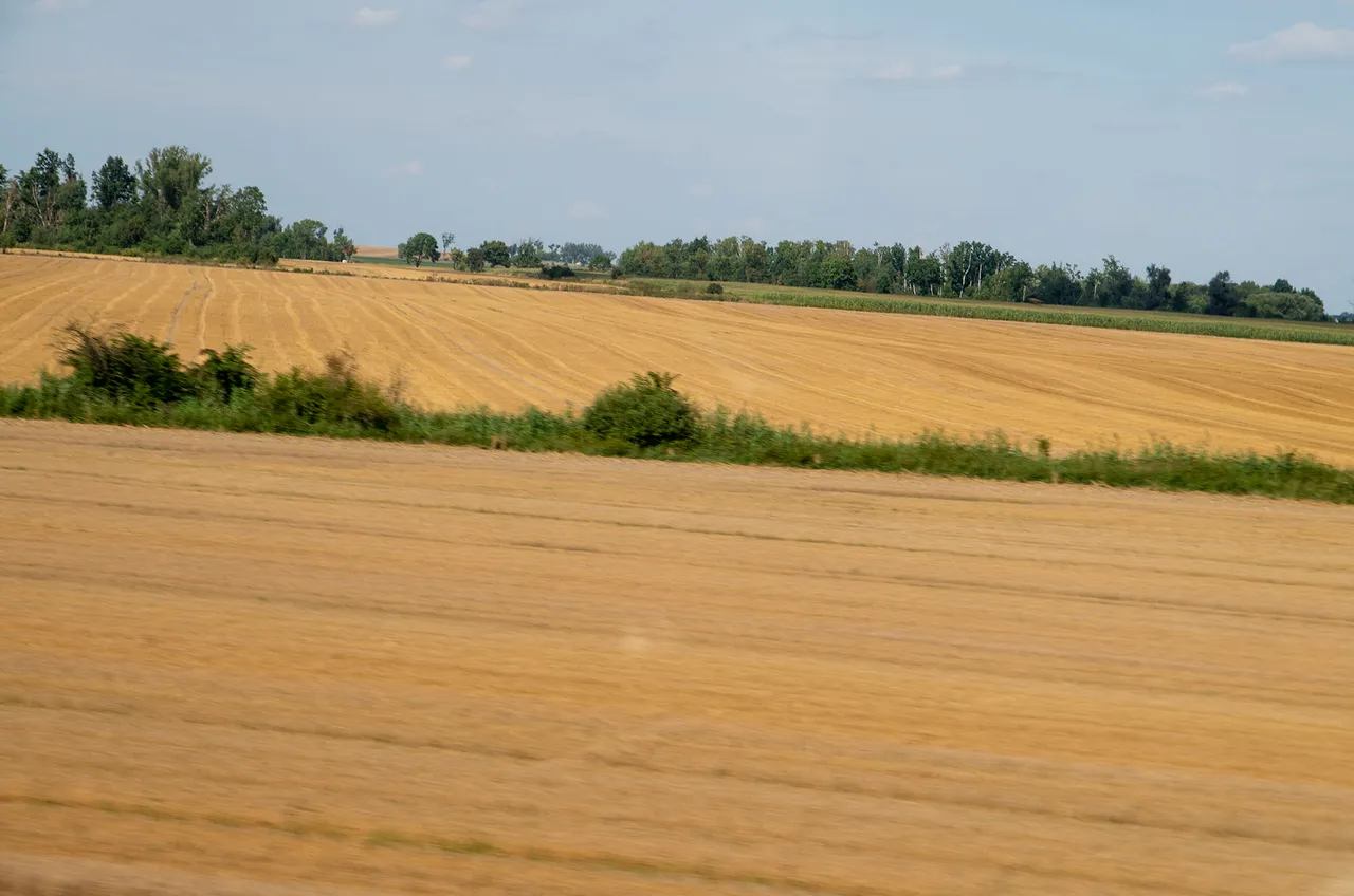 IMGP9114c.jpg