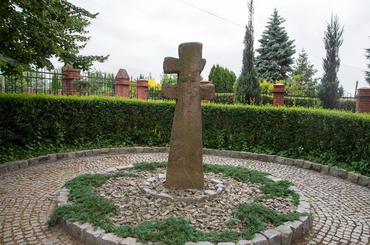 IMGP8719c.jpg