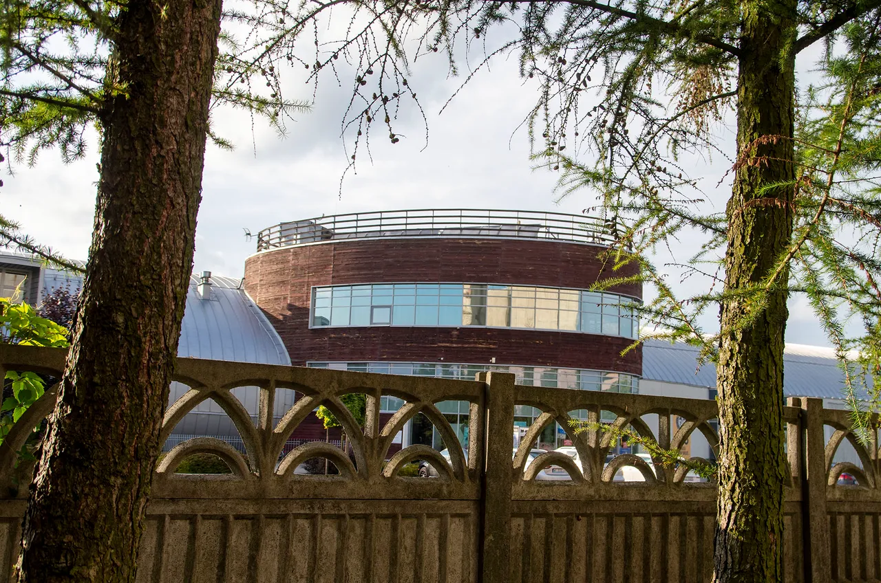 IMGP9272c.jpg