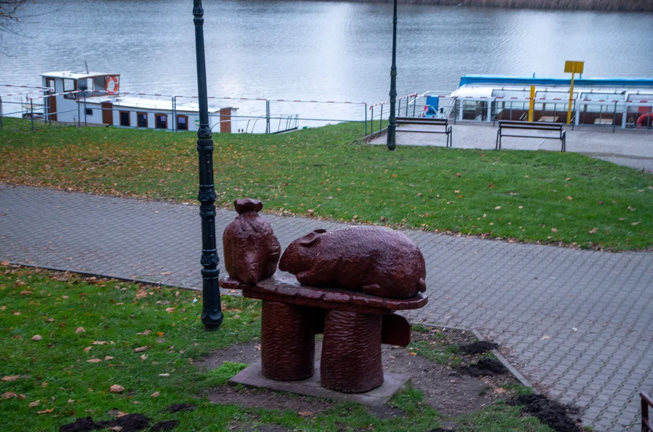 IMGP4569c.jpg